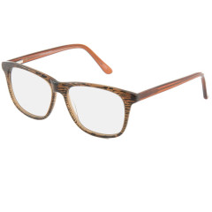 Očala Clovise F905 C12